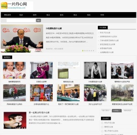 一片丹心网