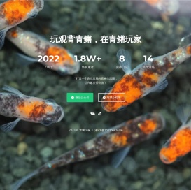 青鳉玩家