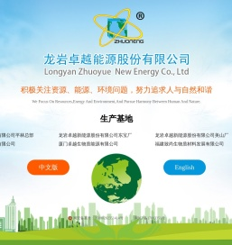 龙岩卓越新能源股份有限公司