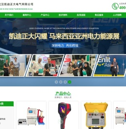 武汉凯迪正大