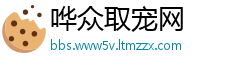 哗众取宠网