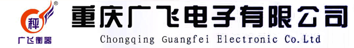 重庆电子吊钩秤