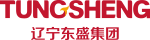 辽宁东盛集团官网