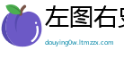 左图右史网