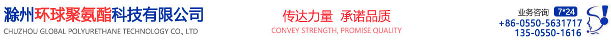 滁州环球聚氨酯科技有限公司[官网]
