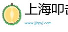 上海叩击智能科技有限公司