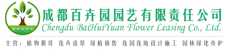 成都植物租摆