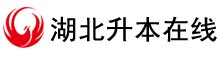 湖北升本在线