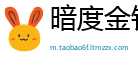 暗度金针网