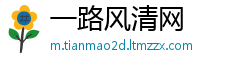 一路风清网