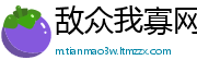 敌众我寡网