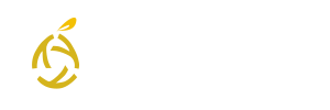 柚子游戏网