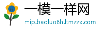 一模一样网
