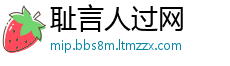 耻言人过网