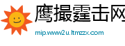 鹰撮霆击网
