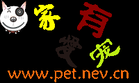 宠物网站