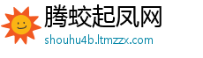 腾蛟起凤网