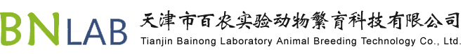 实验动物
