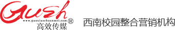 成都高效传媒
