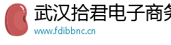 武汉拾君电子商务有限公司