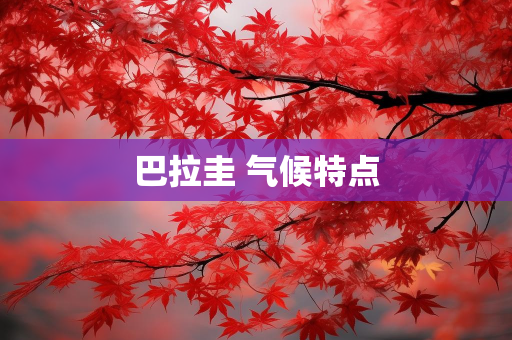 气候知识总结