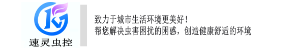 官网