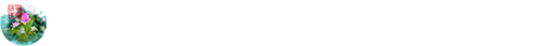 河北雄安苇荷环保科技有限公司