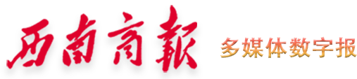 西南商报2024年11月29日