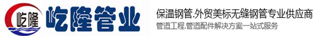 热力蒸汽钢套钢保温管道